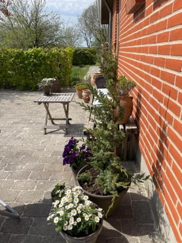 Anita'S B & B Jelling Buitenkant foto
