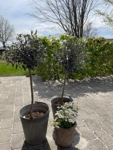 Anita'S B & B Jelling Buitenkant foto